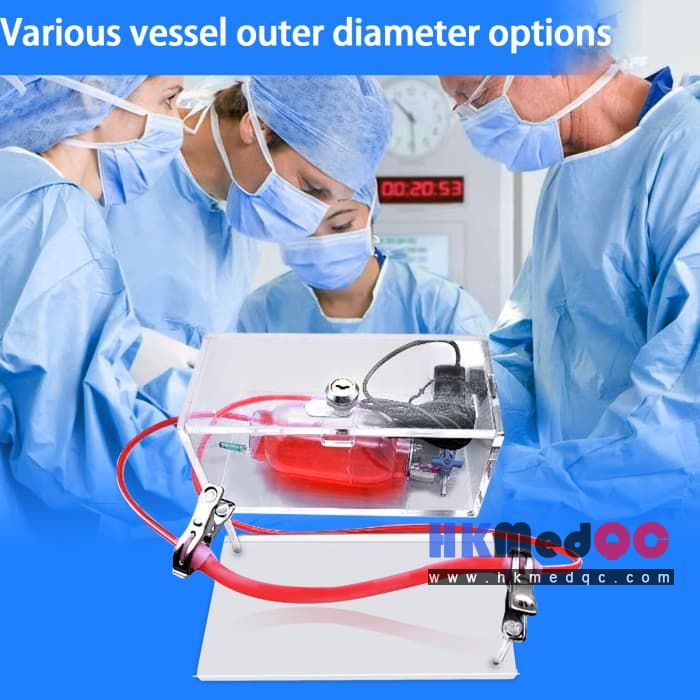 Portable Vascular Puncture Practice Kit,Vascular Surgery Simulation Training Box