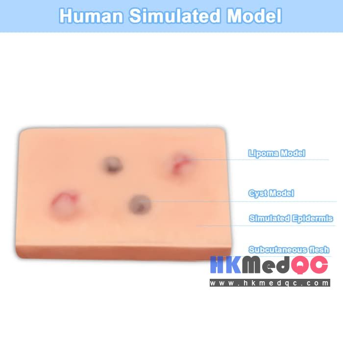 Dermatology Procedure Practice Model,Lipoma & Cyst Practice Module