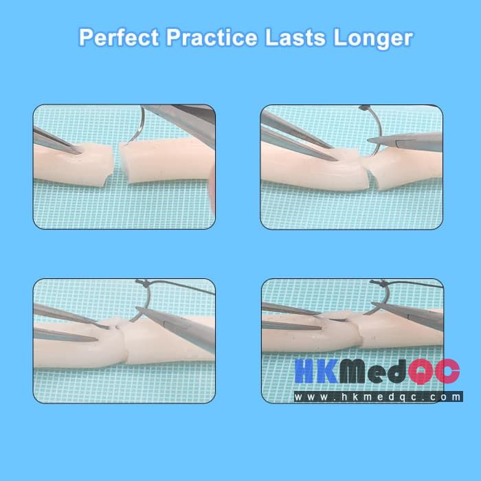 Sewing Training Model,Surgical Nerve Suture Practice Model