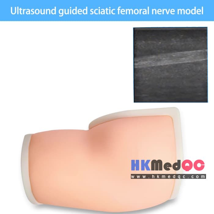 Silicone Sciatic Nerve Injection Training Module,HMQ-SNM QC Assessment