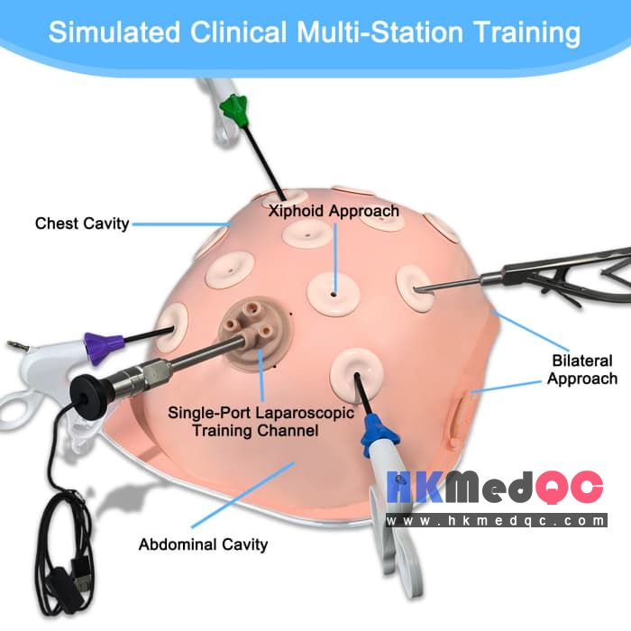 Upgrade Hemispherical Laparoscope Kit,Laparoscopic Surgery Simulator
