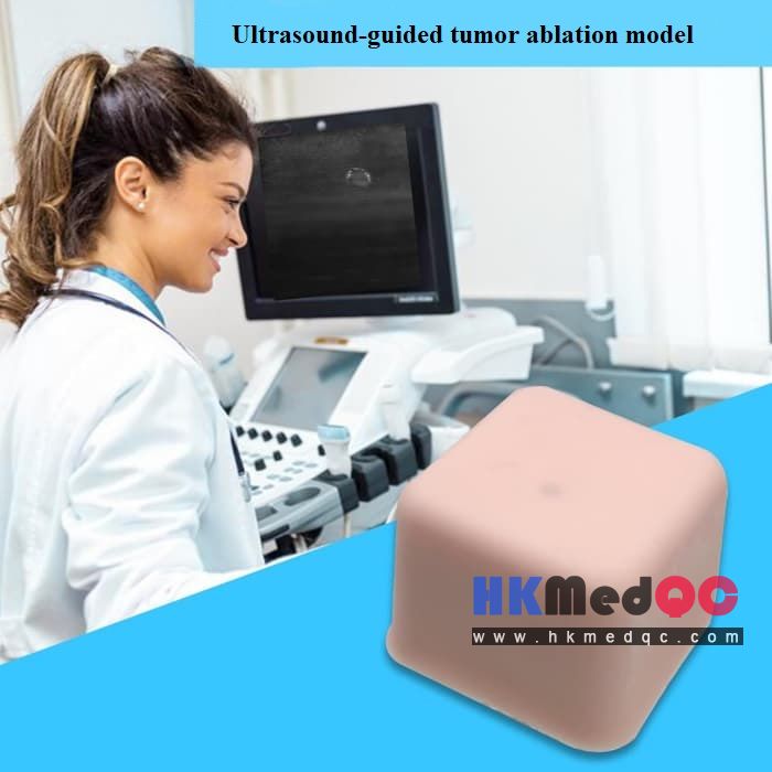 Tumor Puncture Practice Model,Interventional Ultrasound Model