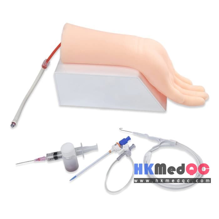 Radial Artery Puncture Practice Phantom,Vascular Access Training Kit