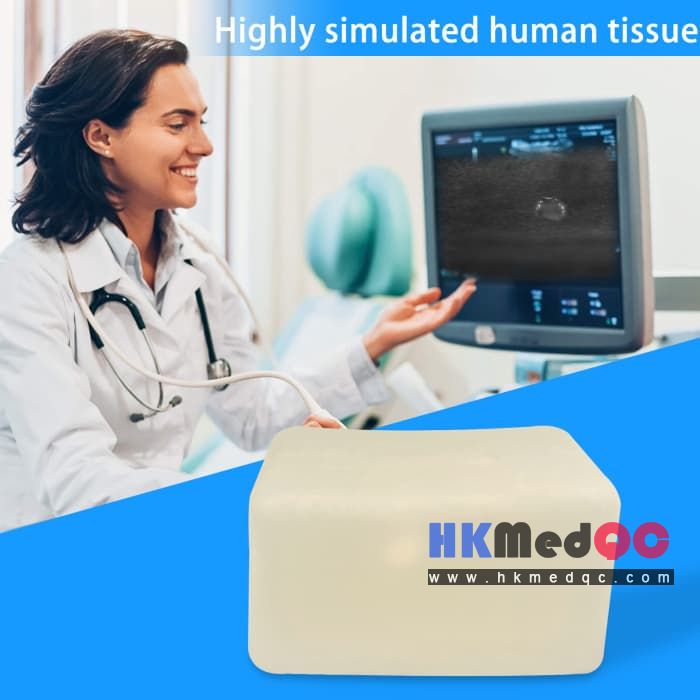 Abdominal Cavity & Cyst Puncture Model,Simulation Biopsy Teaching Tool(White)