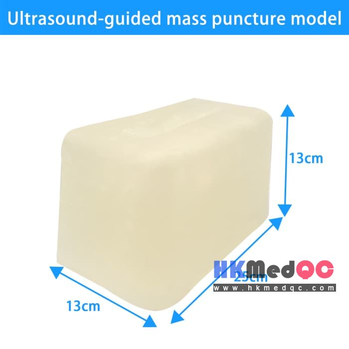Abdominal Cavity & Cyst Puncture Model,Simulation Biopsy Teaching Tool(White)