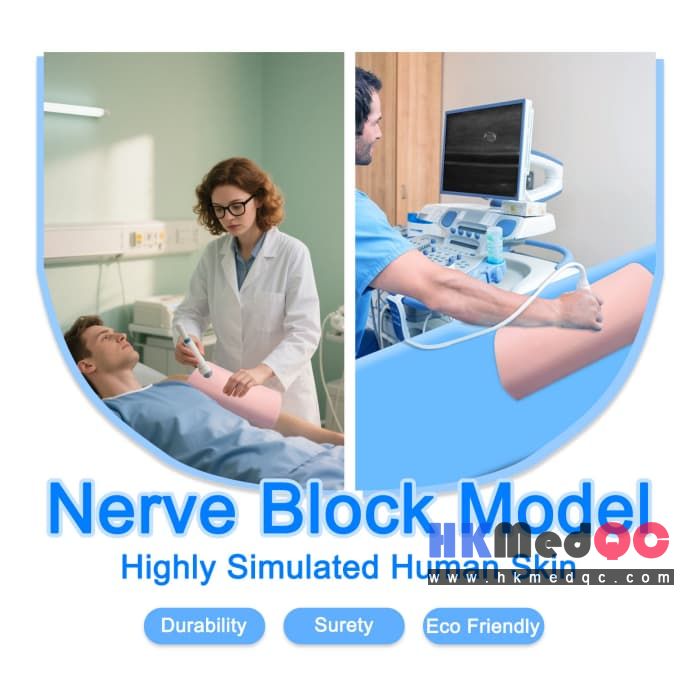 Ultrasound Interventional Puncture Phantom,Simulation of Nerve Block Module
