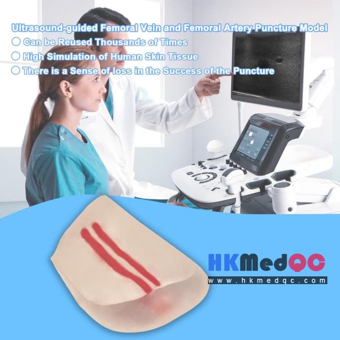 2-Vessel Injection Trainer,Femoral Arteriovenous Puncture Practice Module