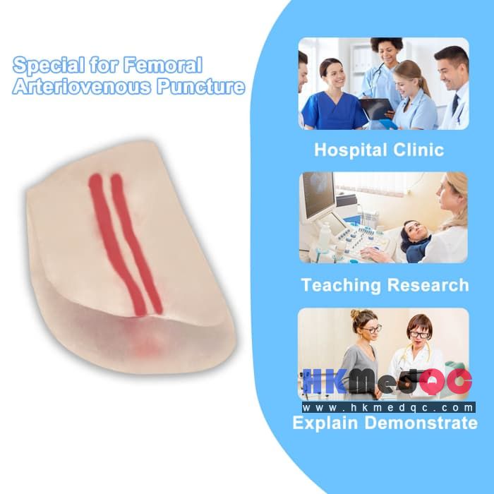 2-Vessel Injection Trainer,Femoral Arteriovenous Puncture Practice Module