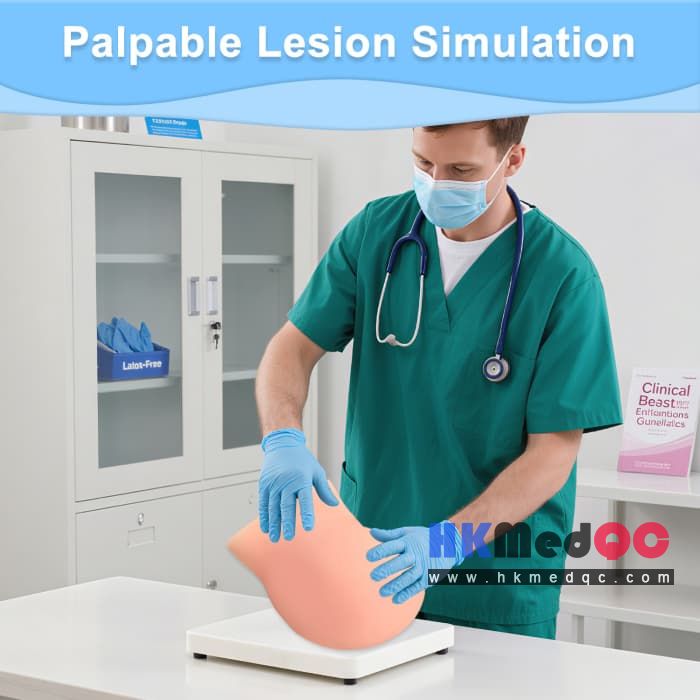 Breast Lesion Palpation Model,Breast Medical Education Model