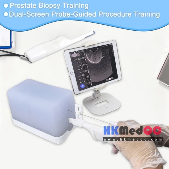Prostate Test Phantom,Perineal Prostate Ultrasound Kit