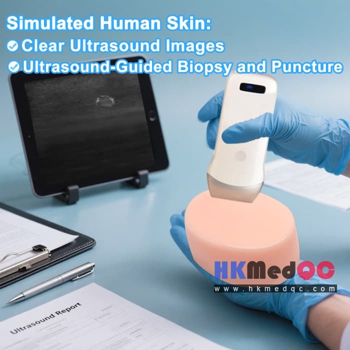 Skin Puncture Biopsy Model,Miniature Tumor Testing Model