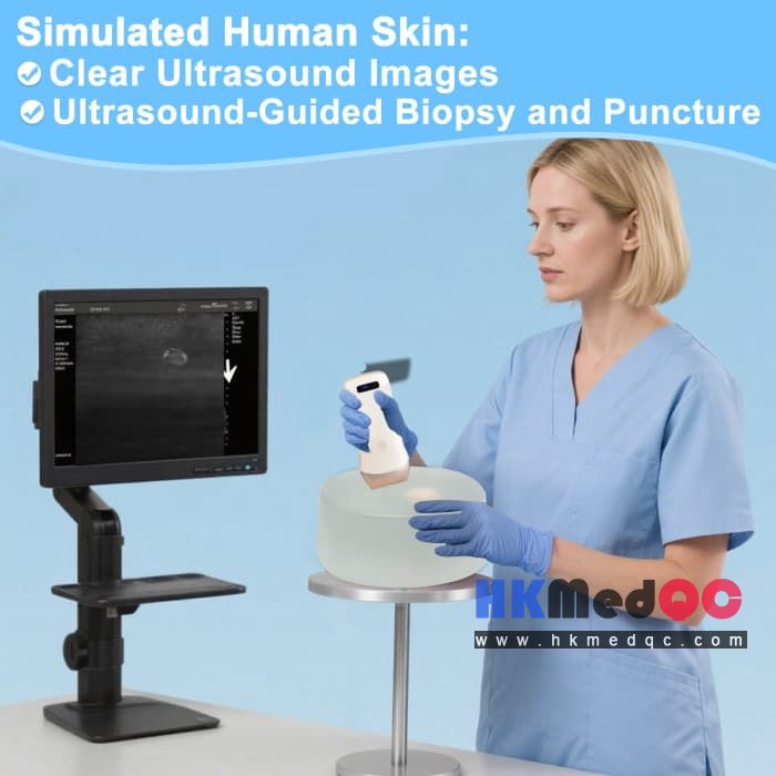 Transparent Puncture Biopsy Model,Miniature Tumor Testing Model