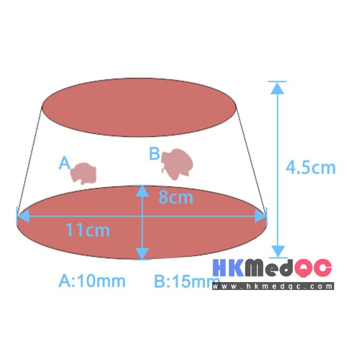 Transparent Puncture Biopsy Model,Miniature Tumor Testing Model