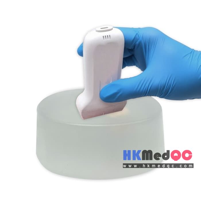Transparent Puncture Biopsy Model,Miniature Tumor Testing Model