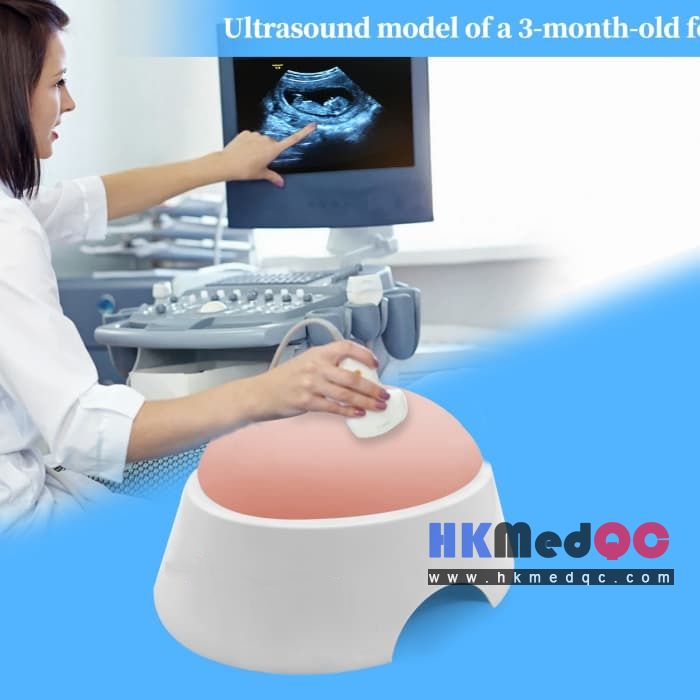 Fetal Ultrasound Training Phantom,Obstetric Training & Prenatal Diagnosis