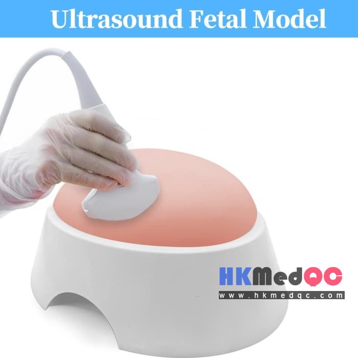 Fetal Ultrasound Training Phantom,Obstetric Training & Prenatal Diagnosis