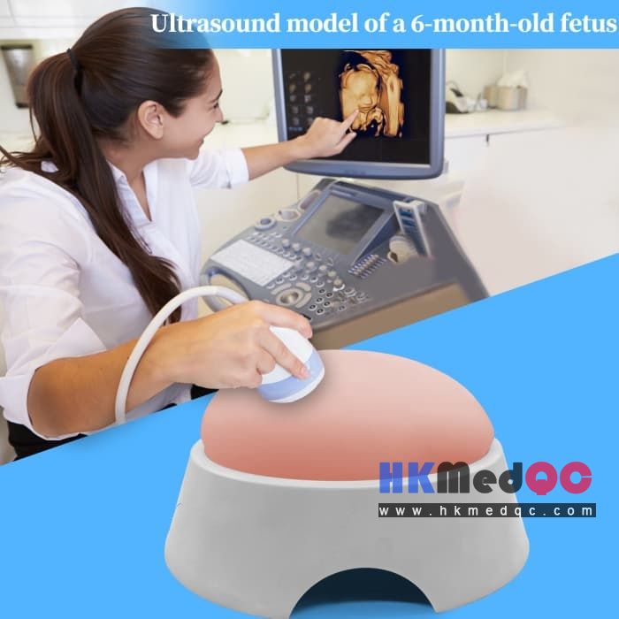 Fetal Ultrasound Training Phantom,Obstetric Training & Prenatal Diagnosis