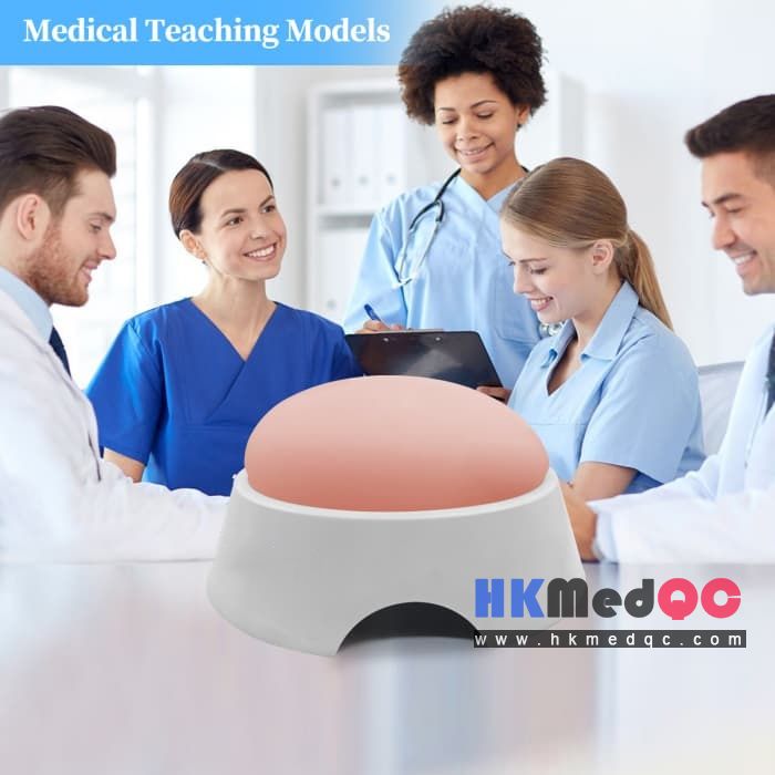 Fetal Ultrasound Training Phantom,Obstetric Training & Prenatal Diagnosis