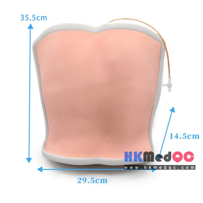 Medical Back Puncture Training Model,Lumbar Puncture Phantom