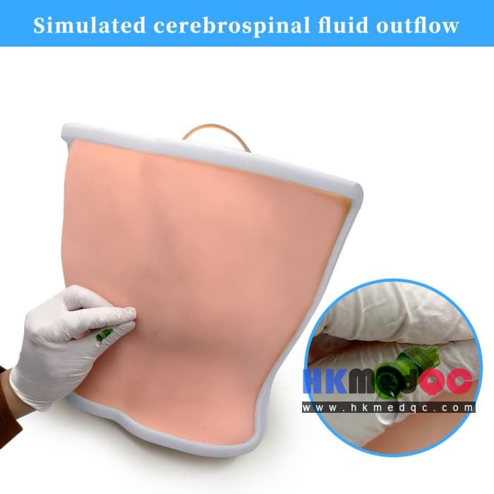 Medical Back Puncture Training Model,Lumbar Puncture Phantom