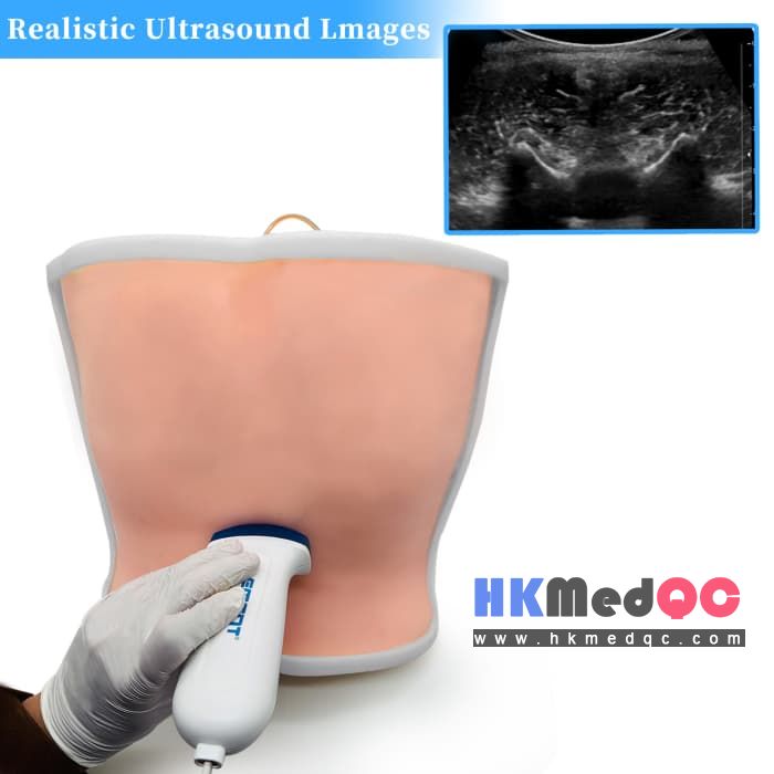 Medical Back Puncture Training Model,Lumbar Puncture Phantom