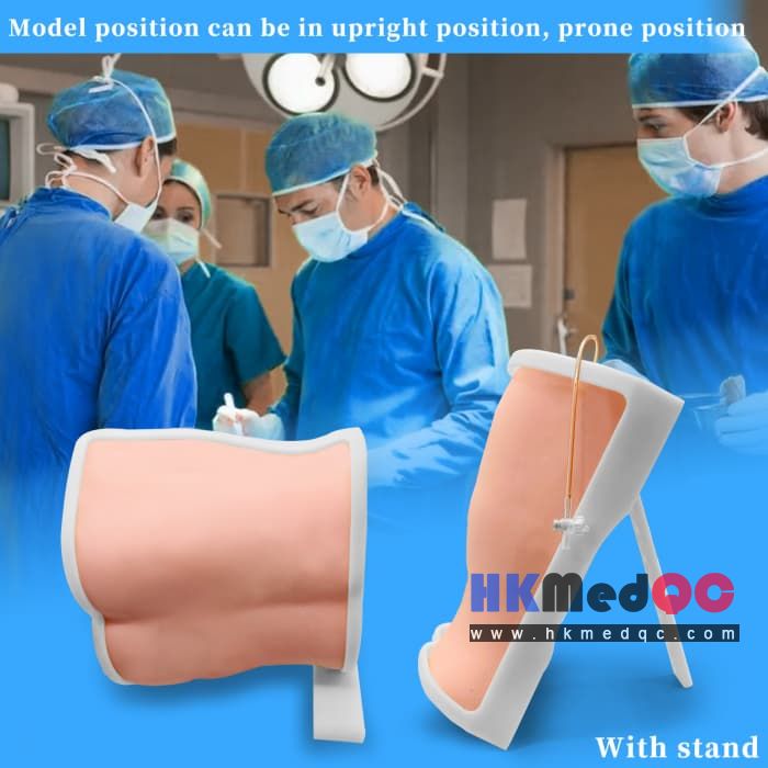 Medical Back Puncture Training Model,Lumbar Puncture Phantom