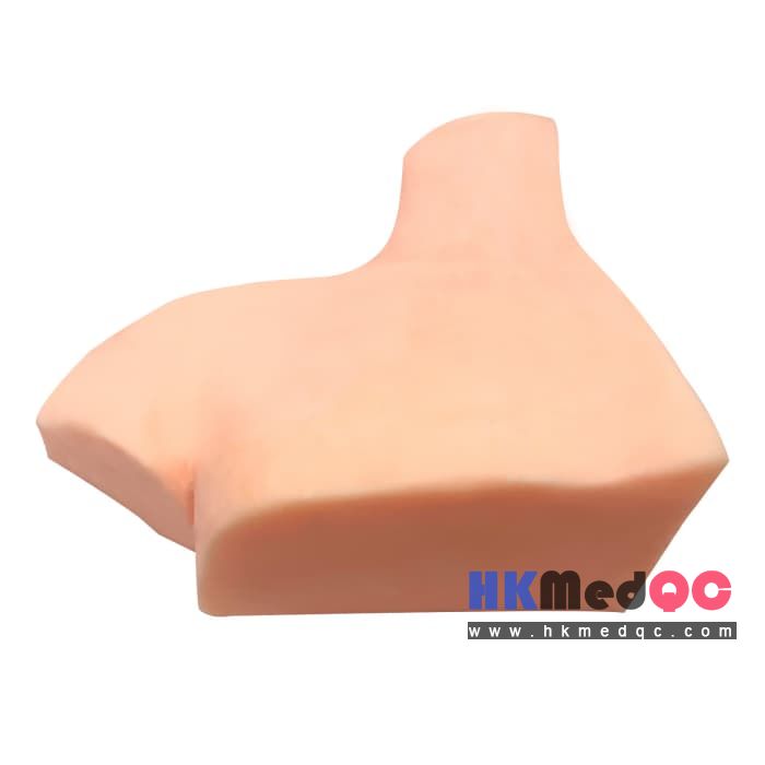 Brachial Plexus Anatomy Model,Nerve Block Ultrasound Trainer