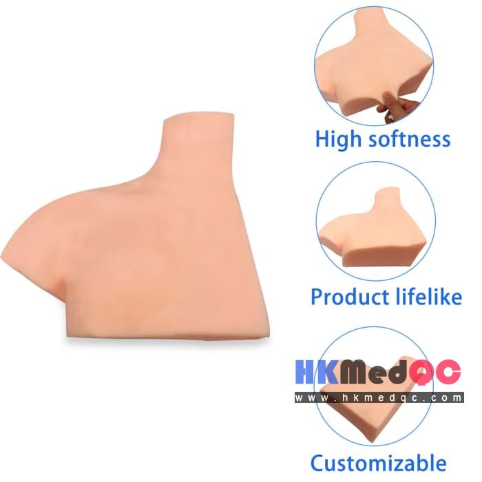 Brachial Plexus Anatomy Model,Nerve Block Ultrasound Trainer