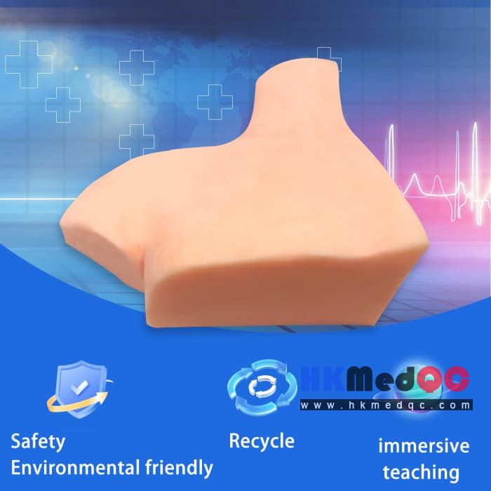 Brachial Plexus Anatomy Model,Nerve Block Ultrasound Trainer