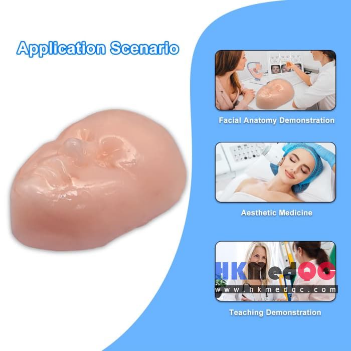 Medical Facial Training Model, Filler Injection Practice Model