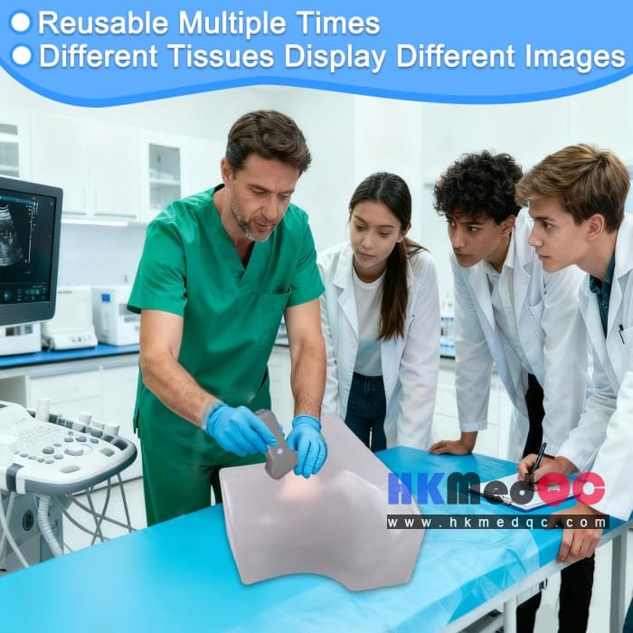 Medical Thyroid Anatomy Model, Thyroid Ultrasound Test Kit