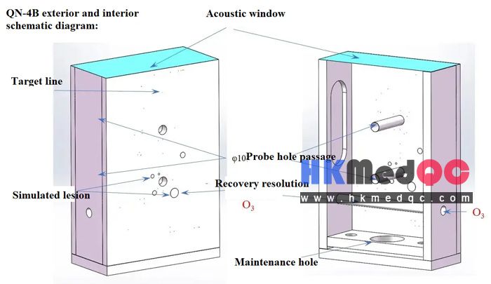 KS107QN-4B Internal Cavity Scanning Ultrasonic Body Model,KS107QN-4B Phantom