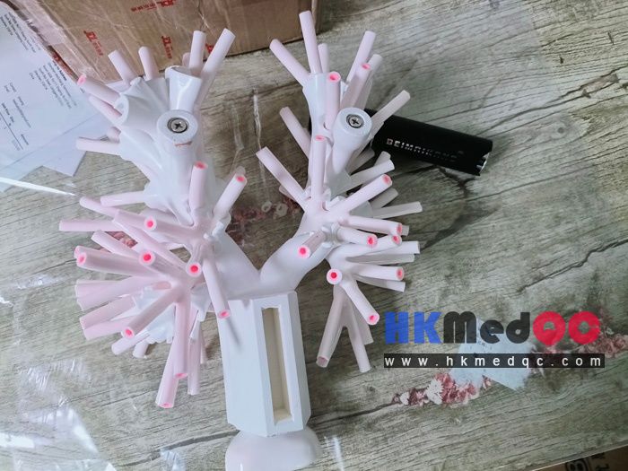 WEK-B04 Bronchoscopy Training Phantom,5-Grade Bronchial Branch Airway Model