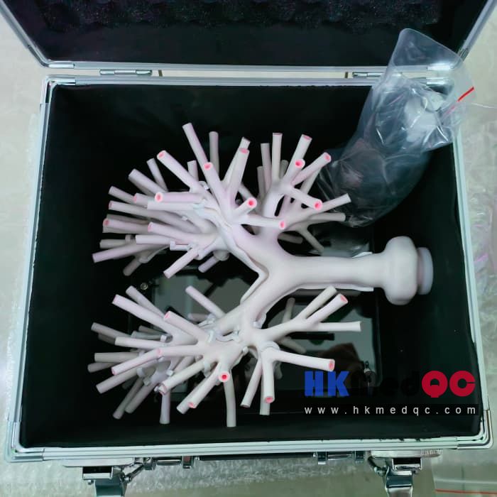 WEK-B04 Bronchoscopy Training Phantom,5-Grade Bronchial Branch Airway Model
