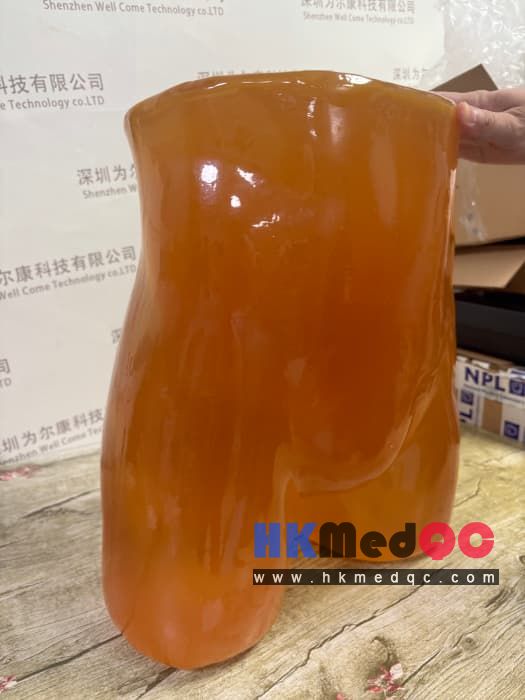 PE-A01 Adult Pelvis Model,Adult pelvic abdominal model