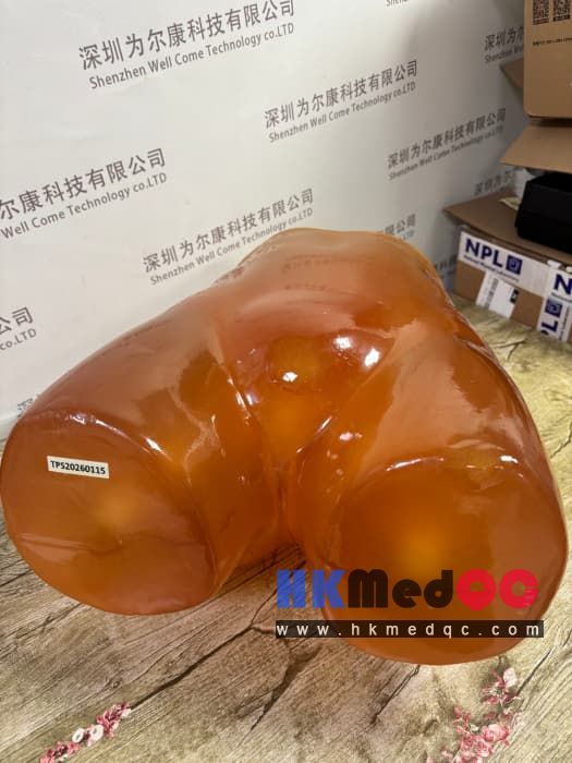 PE-A01 Adult Pelvis Model,Adult pelvic abdominal model